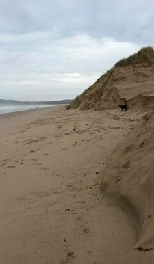 The dunes of Aberafan