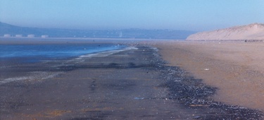 On
                  the beach, looking towards Swansea