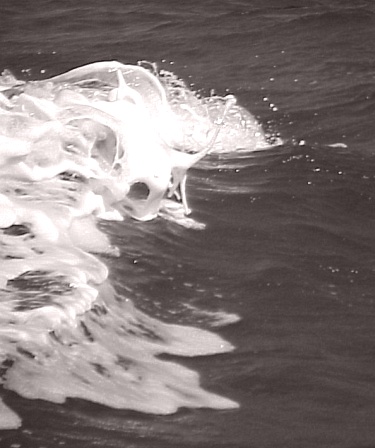 Closeup of mysterious wave