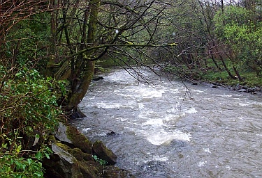 Pwll
                Gwenllian (Gwenllian's Pool) today photo