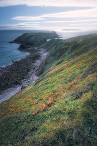 A view of
                the Welsh coast, by Ian Cylkowski at Unsplash.com